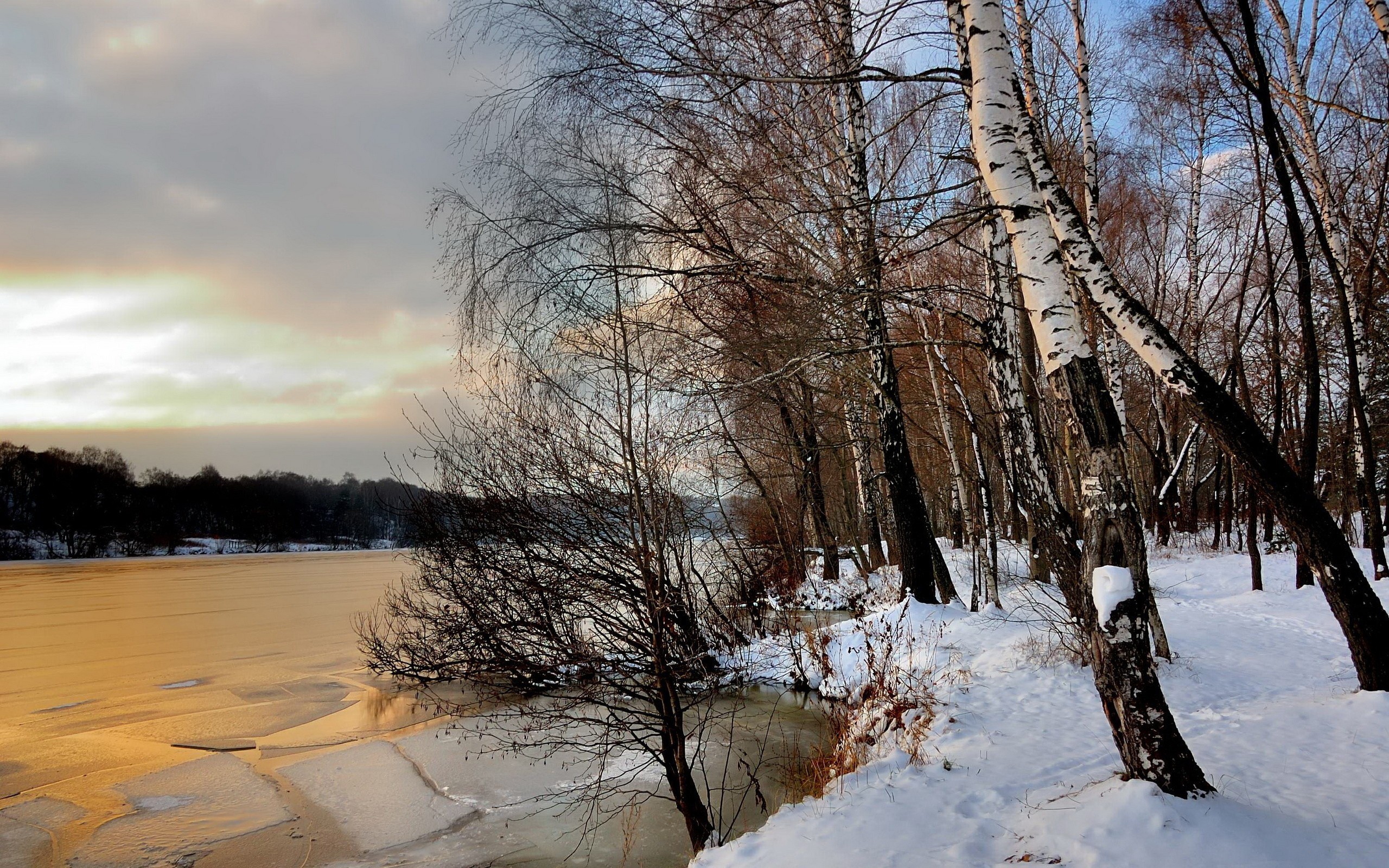 Зимний берег реки с березками