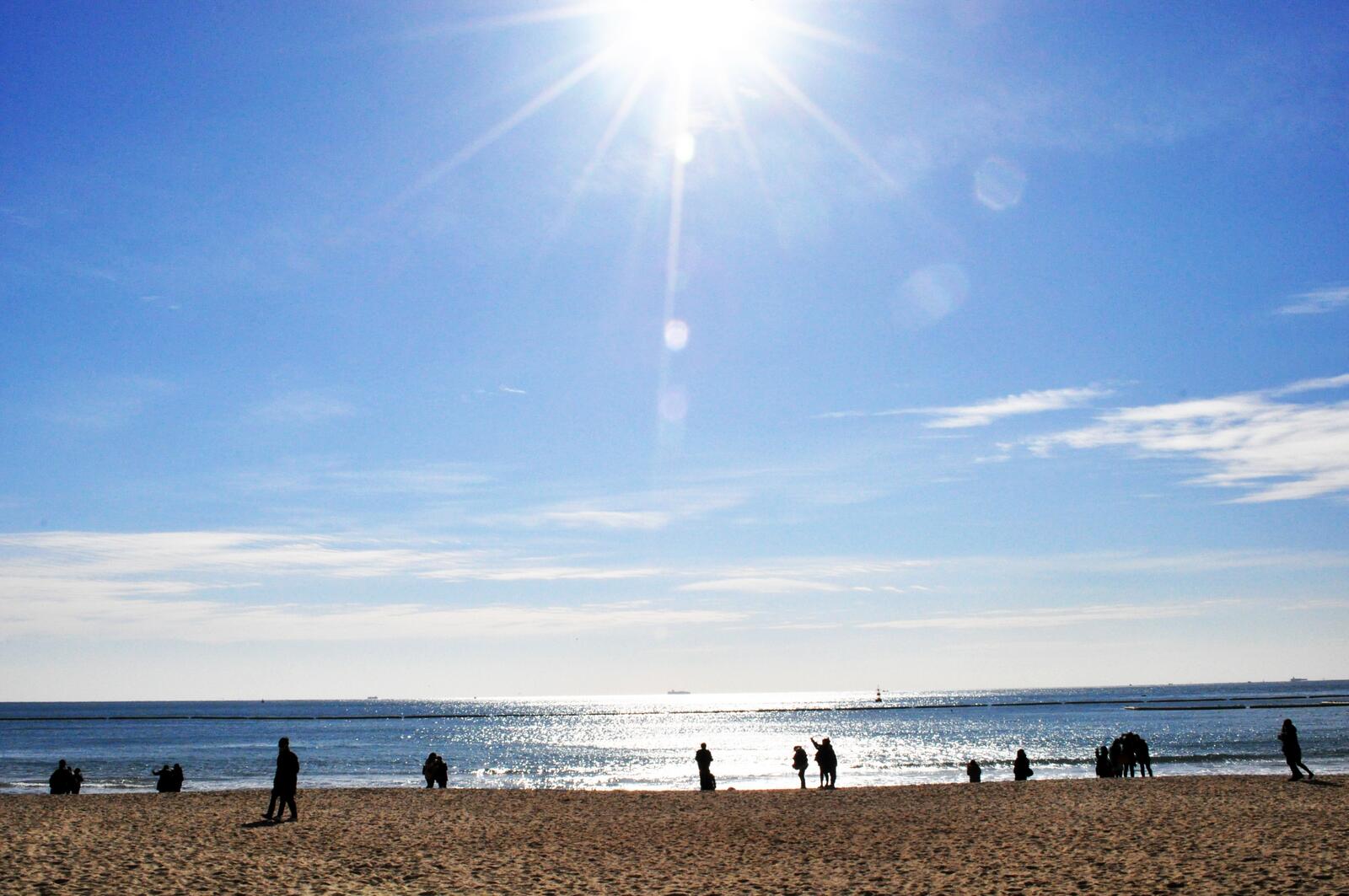 Бесплатное фото Берег моря в солнечную погоду