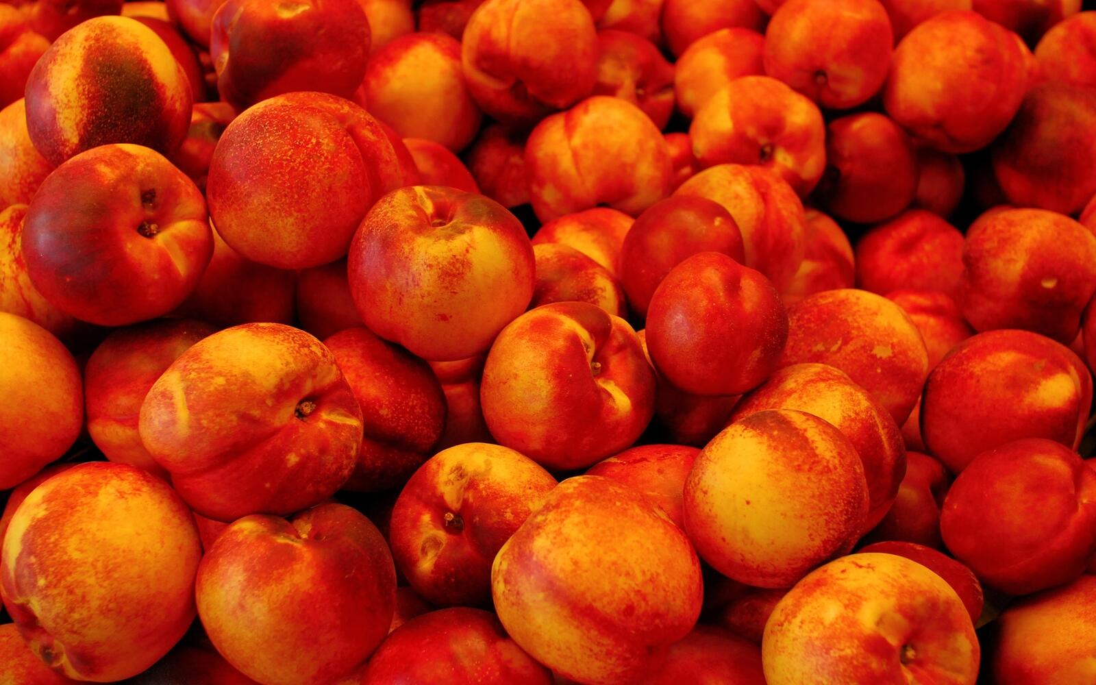 Free photo A lot of apricots