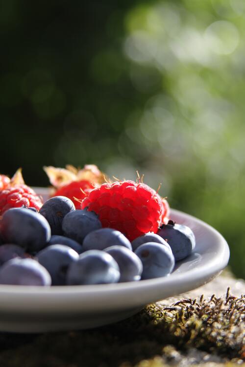 Тарелка с ягодками на природе
