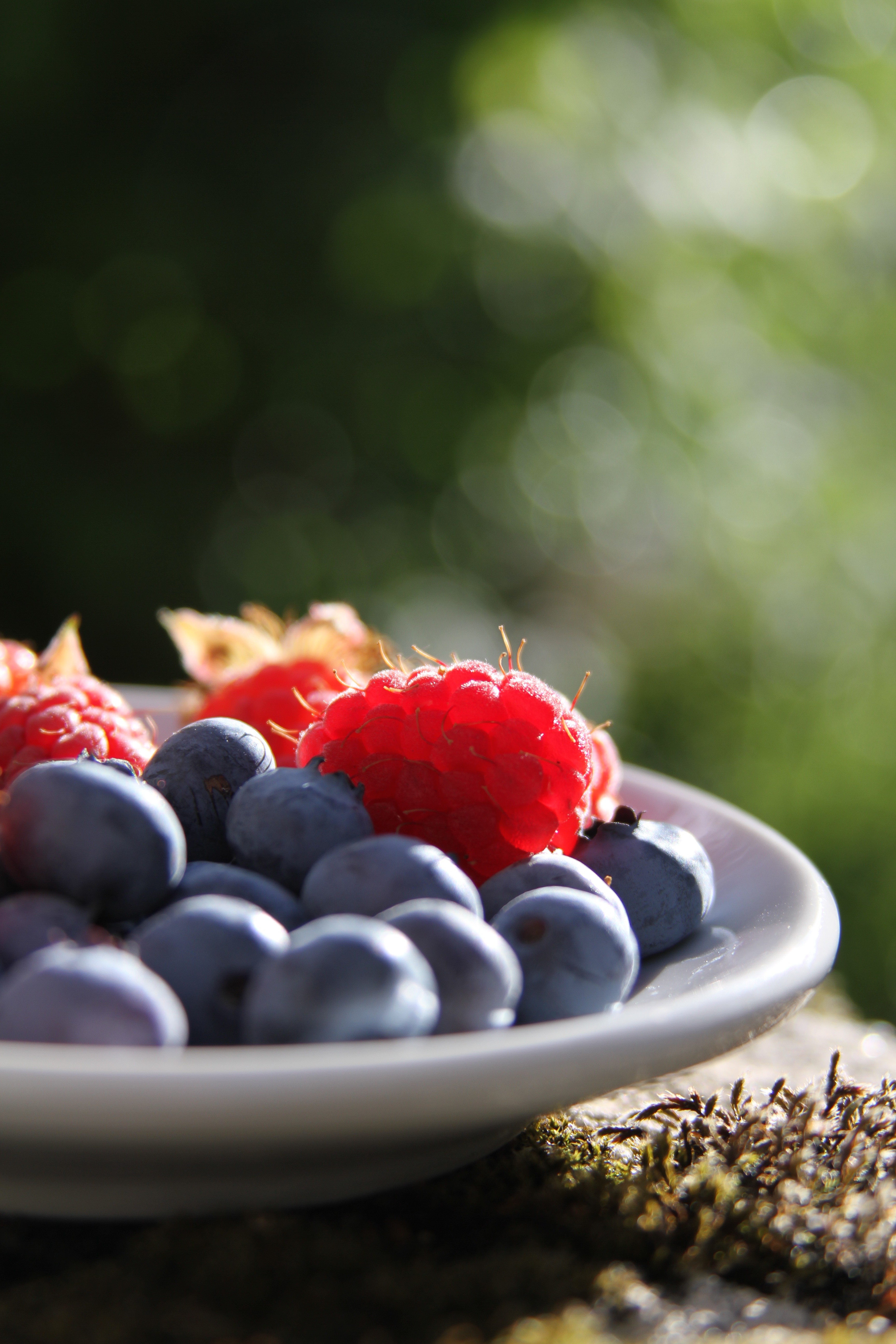 Бесплатное фото Тарелка с ягодками на природе