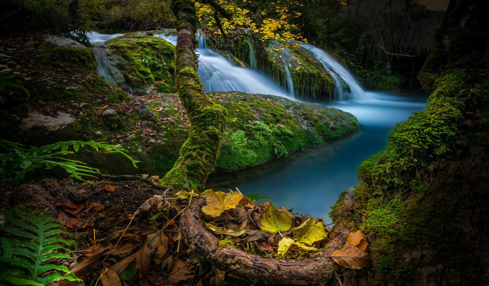 Бесплатное фото Маленький водопад в лесу