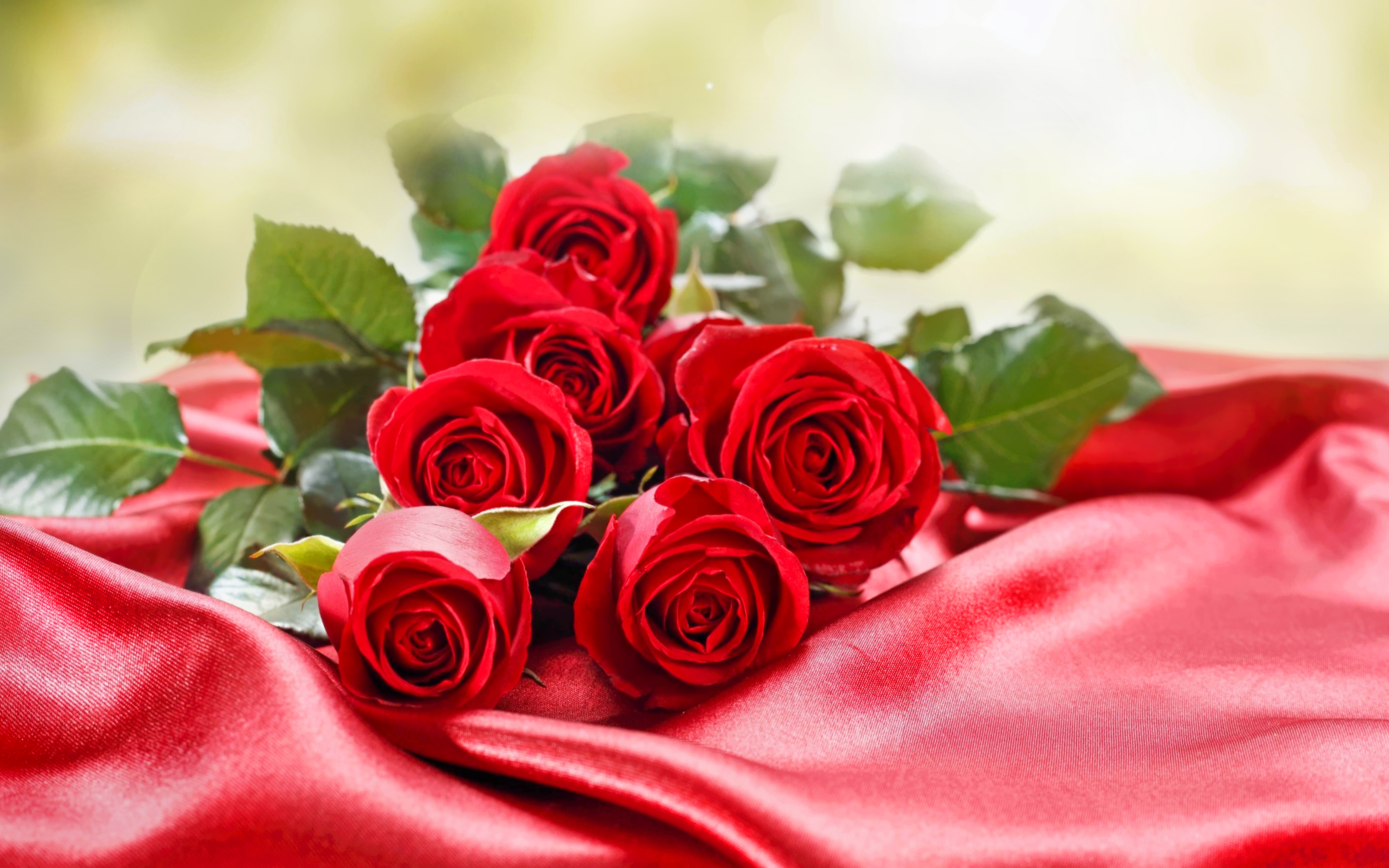 Бесплатное фото Красные розы на красной ткани