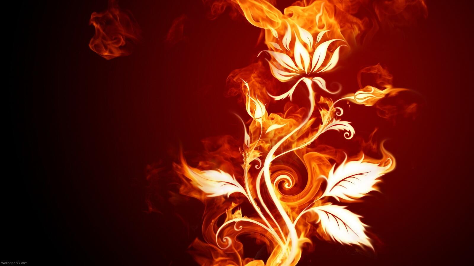 Бесплатное фото Абстрактный огненный цветок