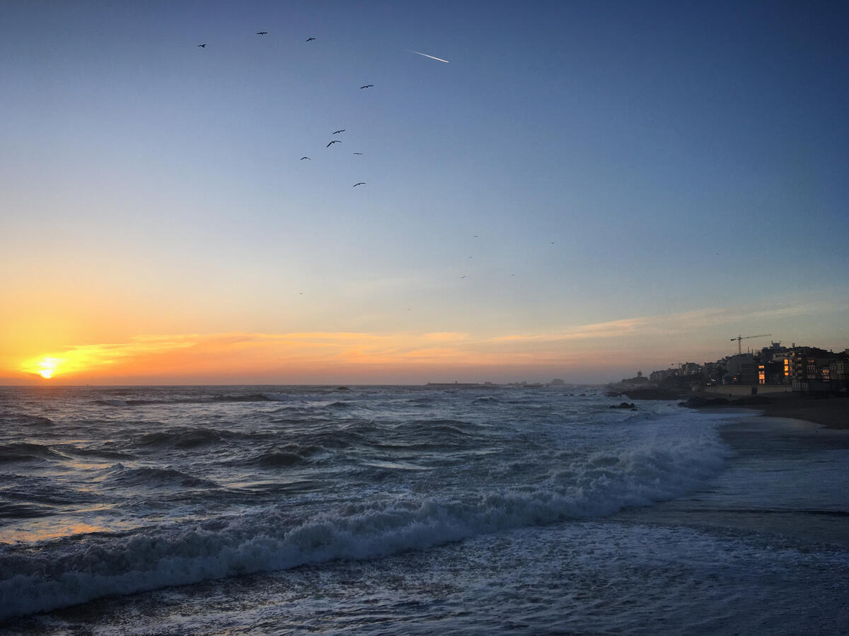 Закат солнца на побережье океана с птицами летающими в небе
