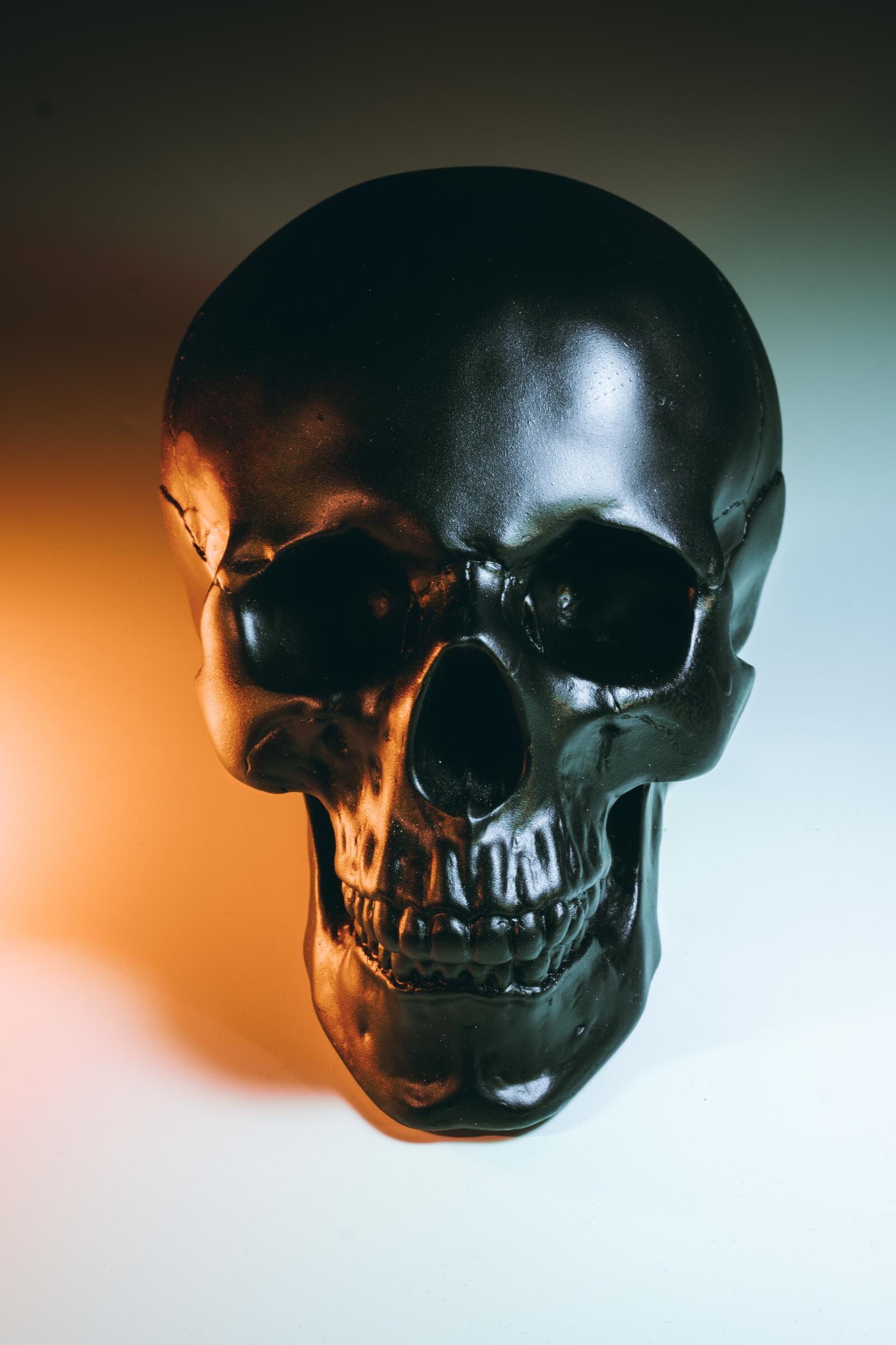 Wallpapers skull black sculpture on the desktop