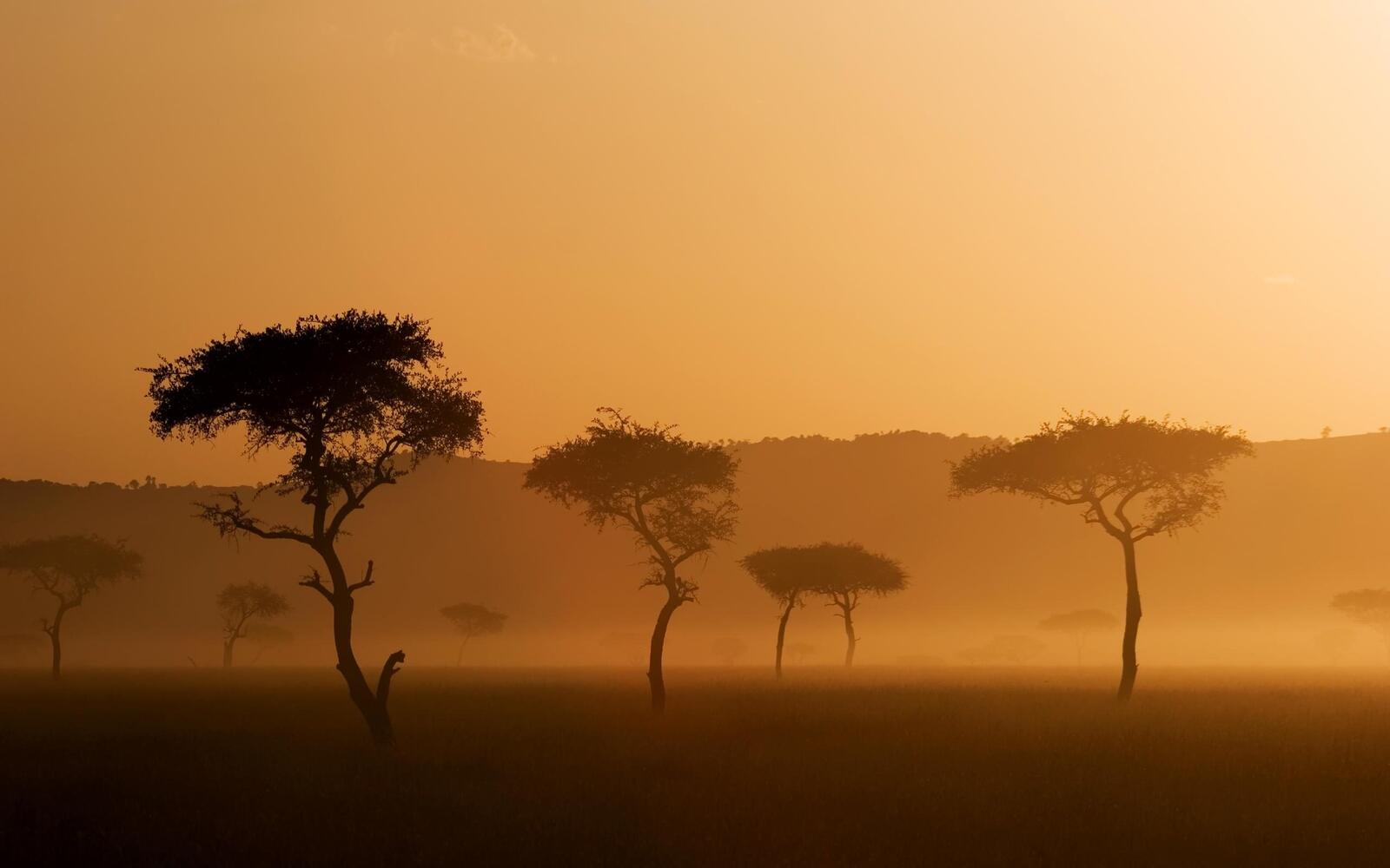 Free photo Sandstorm in Africa