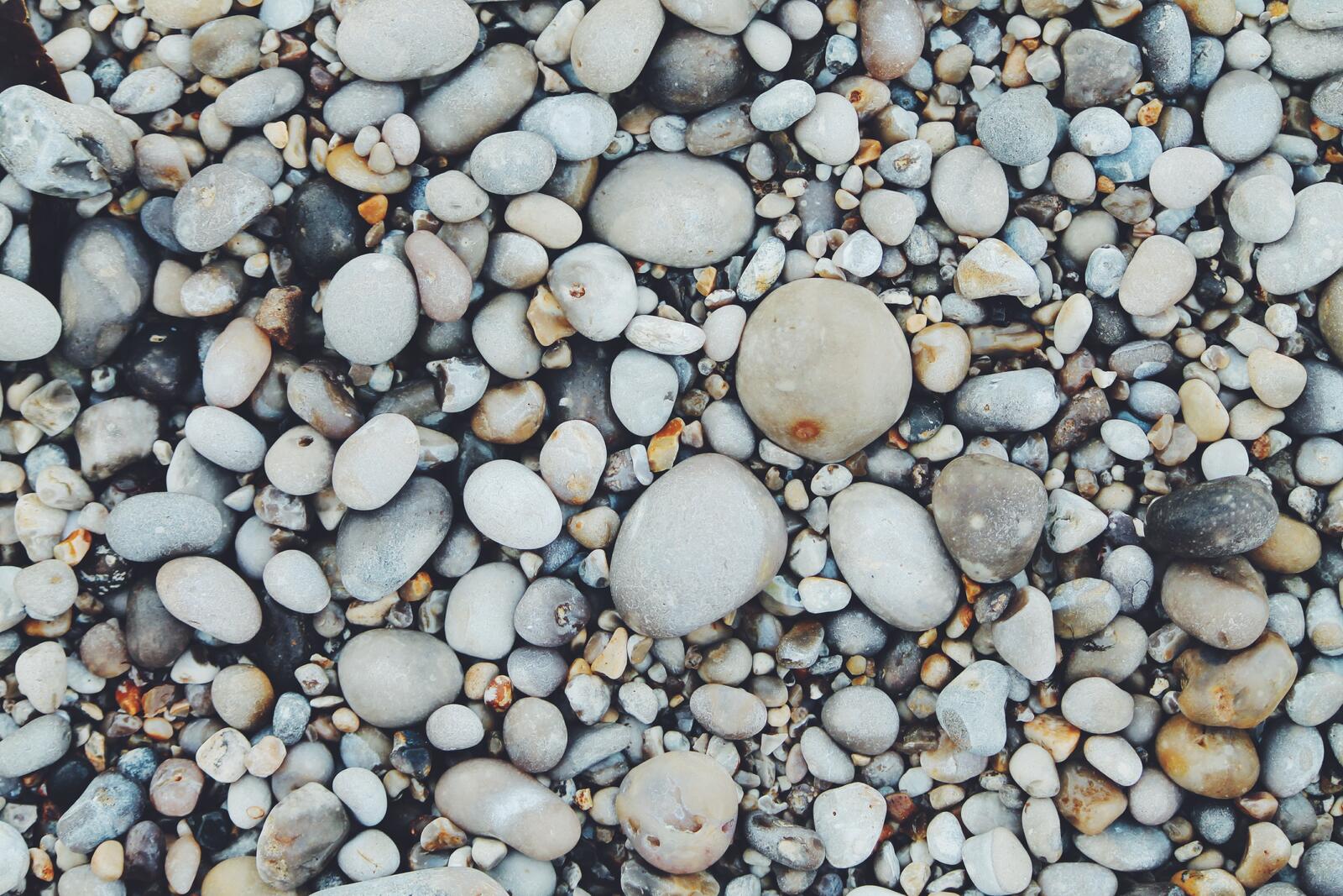 Бесплатное фото Морская галька на пляжу