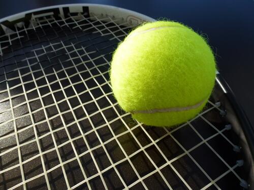 Теннисный мяч на ракетке