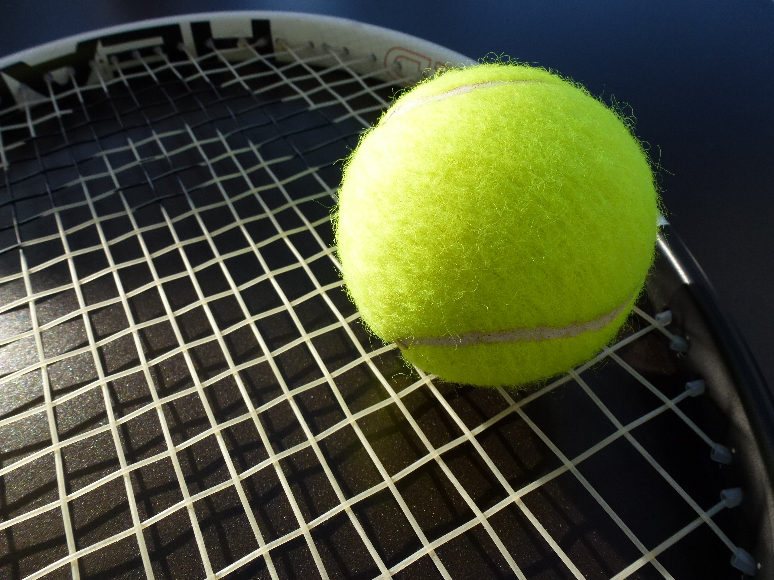 Бесплатное фото Теннисный мяч на ракетке