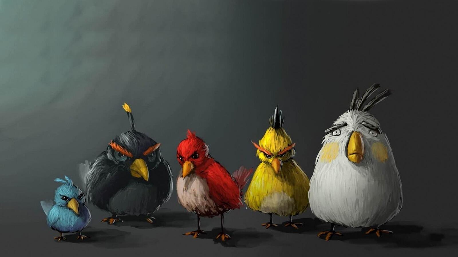 Бесплатное фото Нарисованные Angry Birds