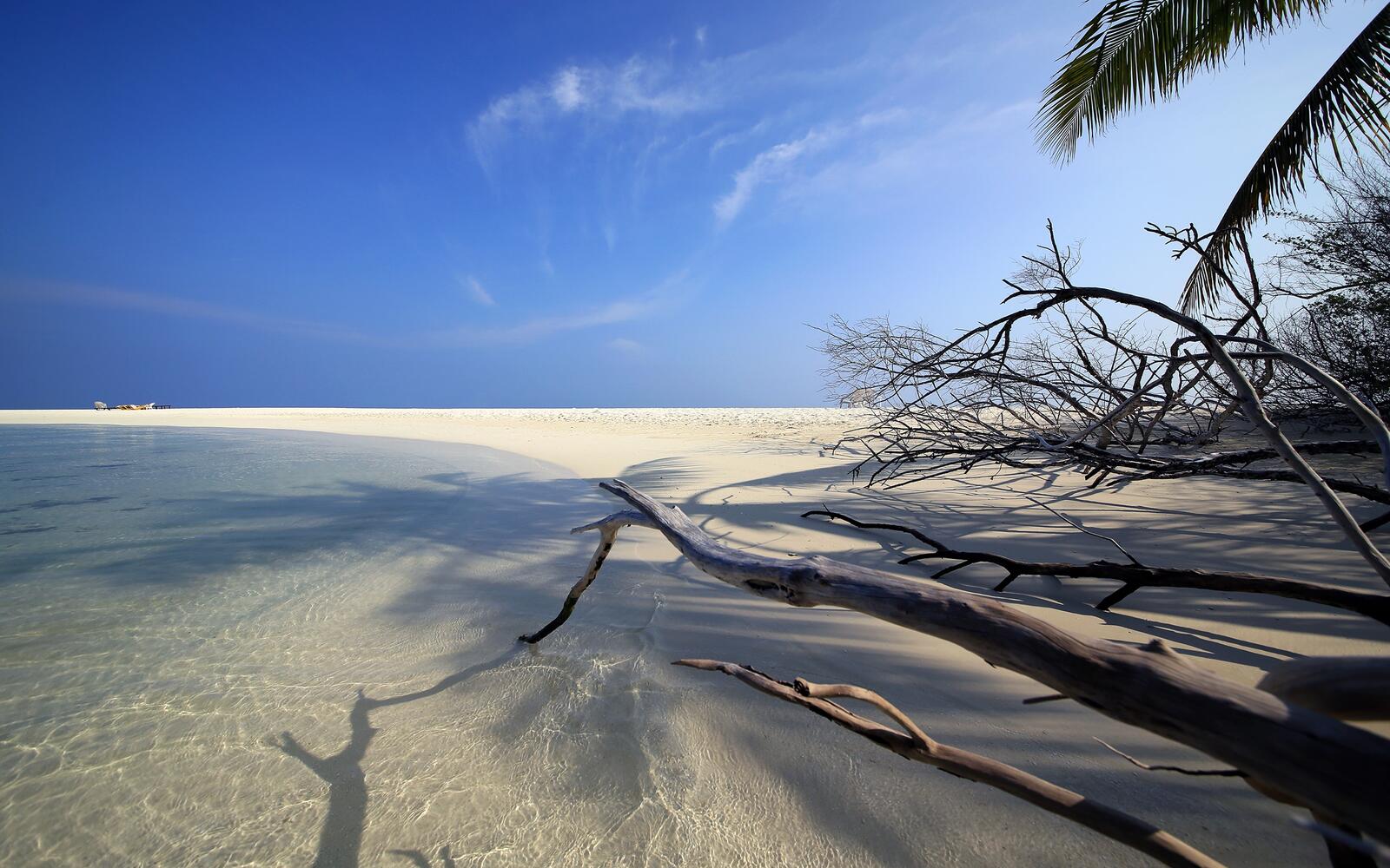 Бесплатное фото Остров с белым песком