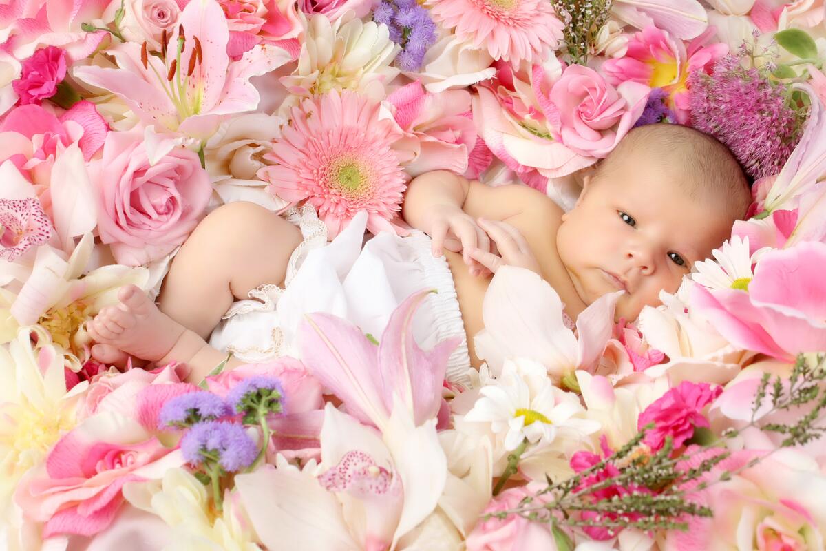 A newborn baby lies in the flowers