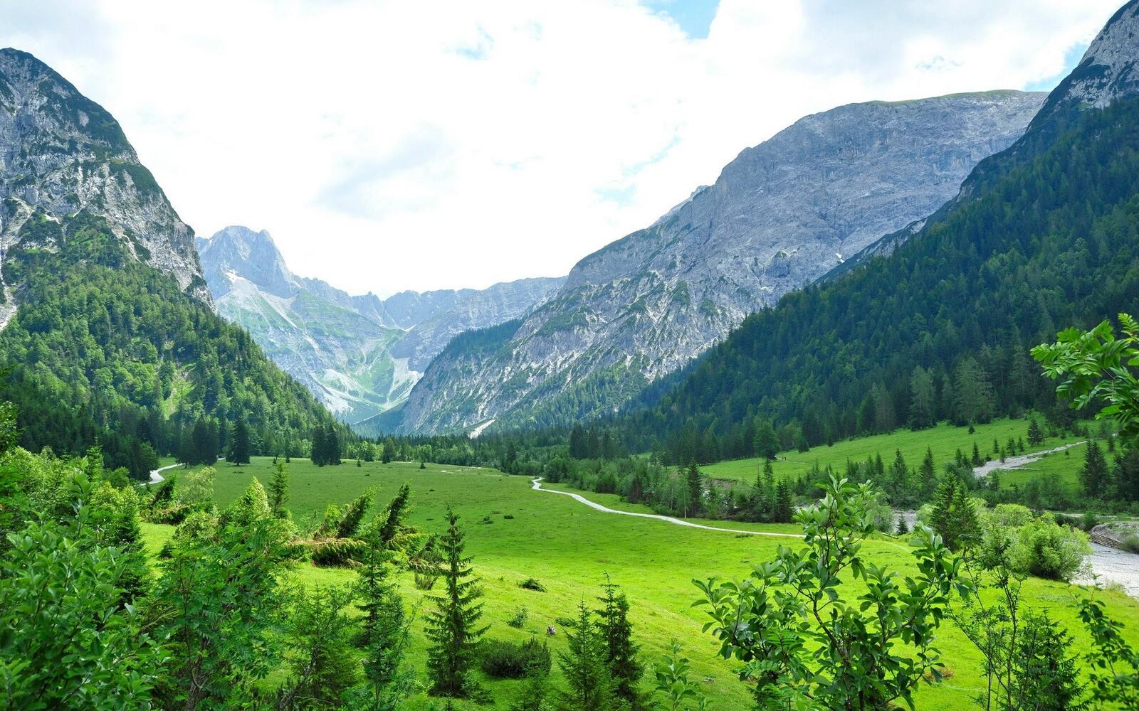 免费照片阿尔卑斯山的夏天