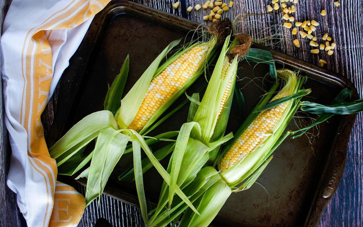 Свежая кукуруза