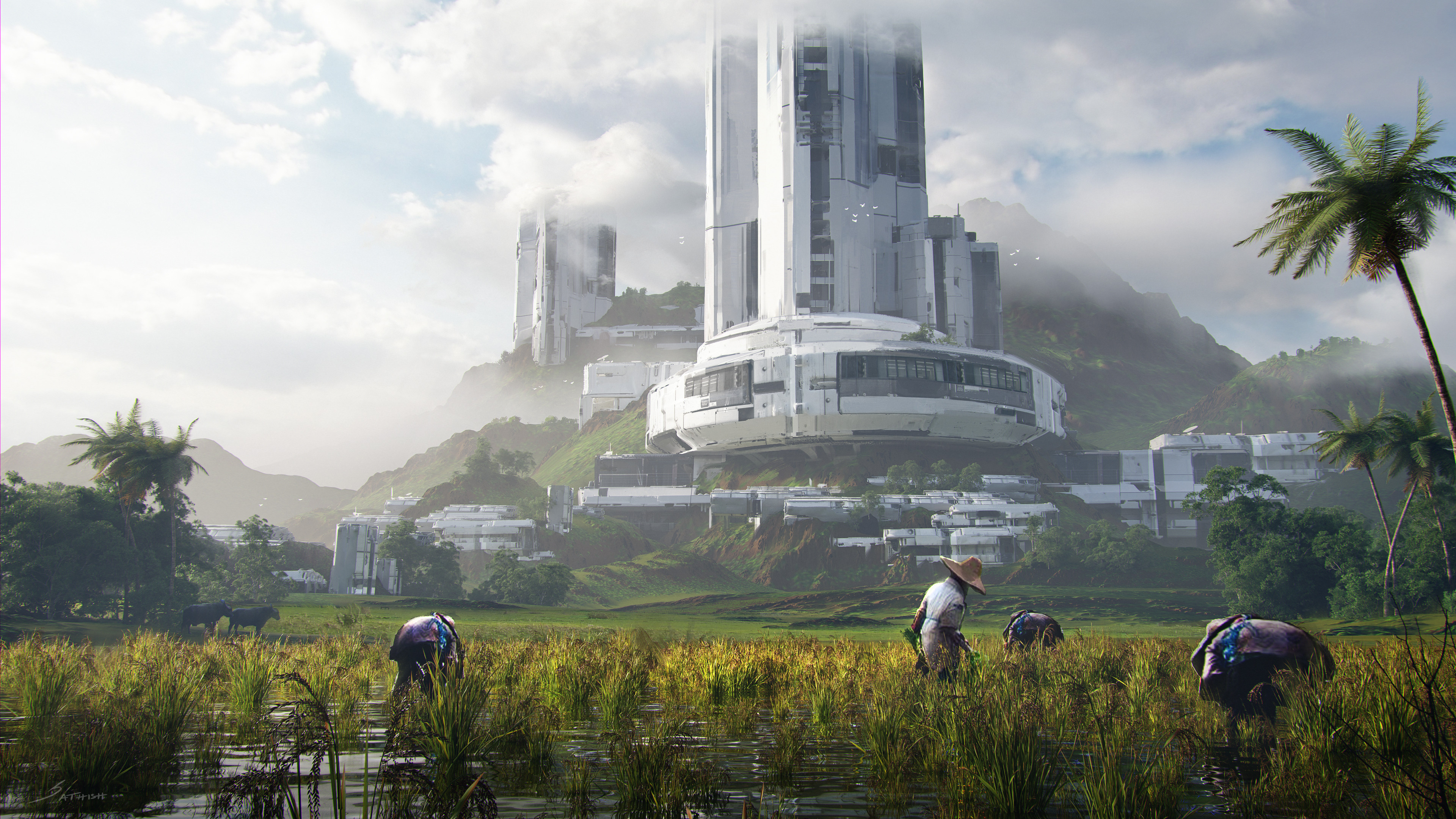 A rice field in the city of the future
