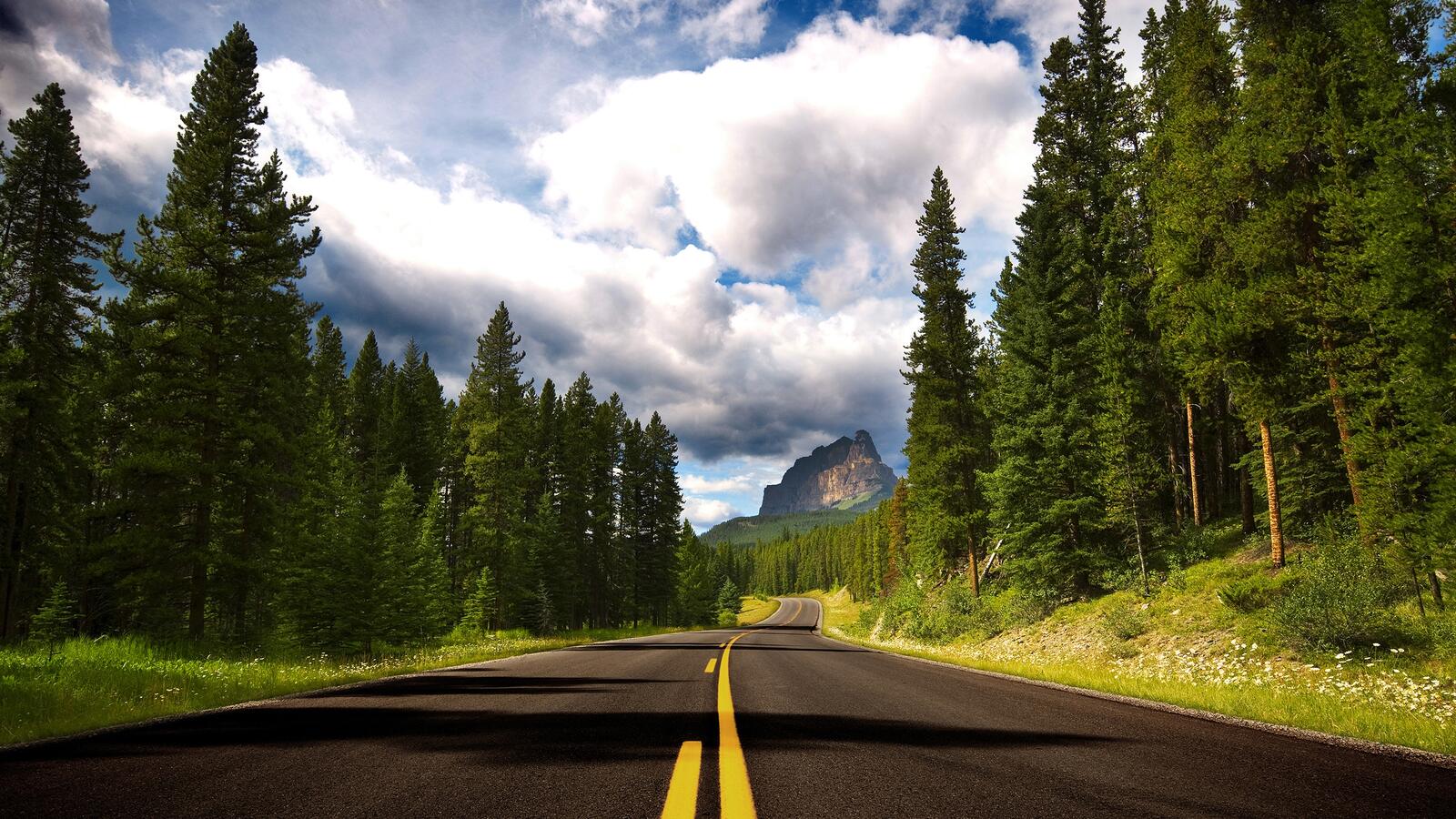 Бесплатное фото Длинная дорога едущая к горе в лесу
