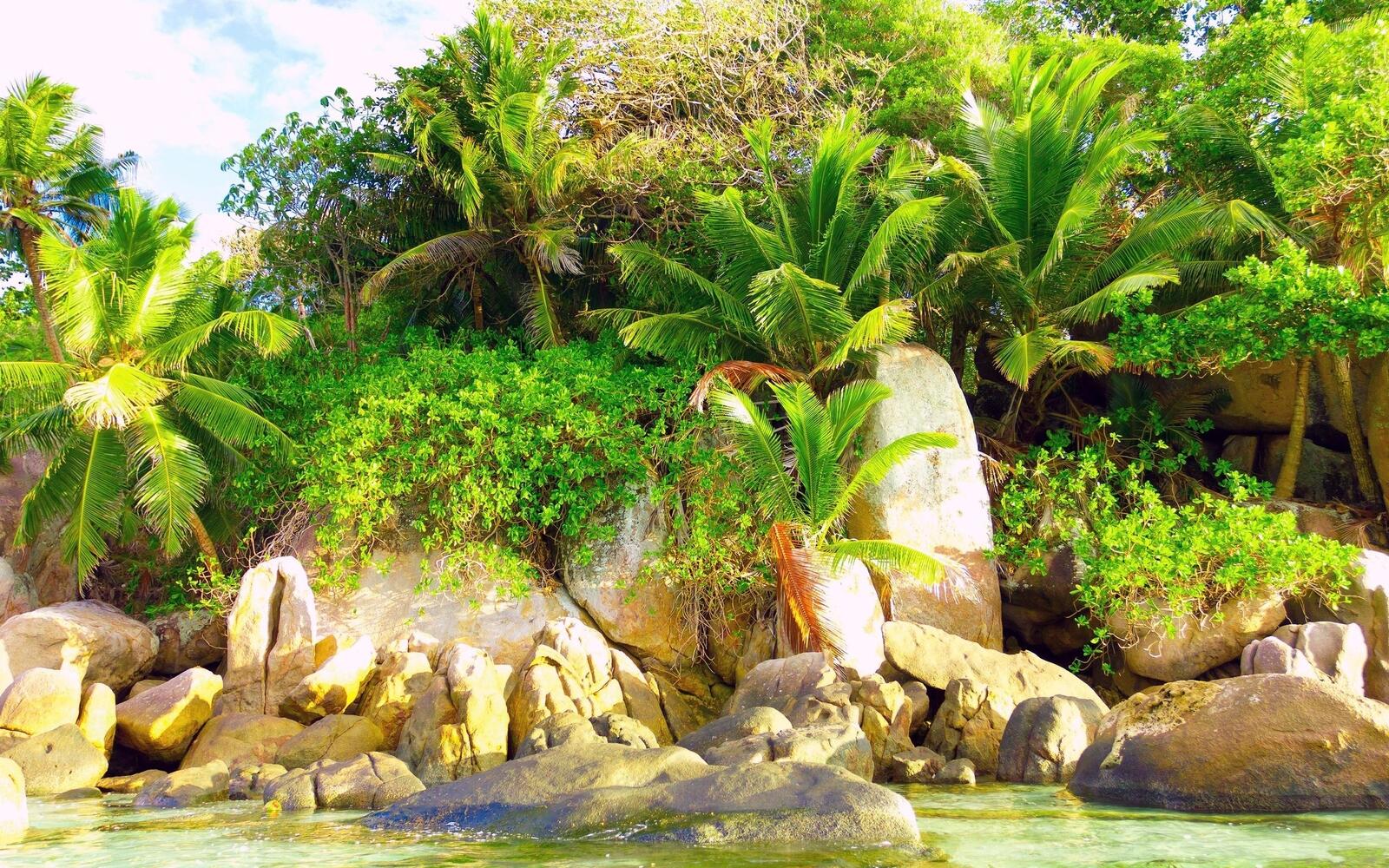 Бесплатное фото Пляж на острове с большими булыжниками