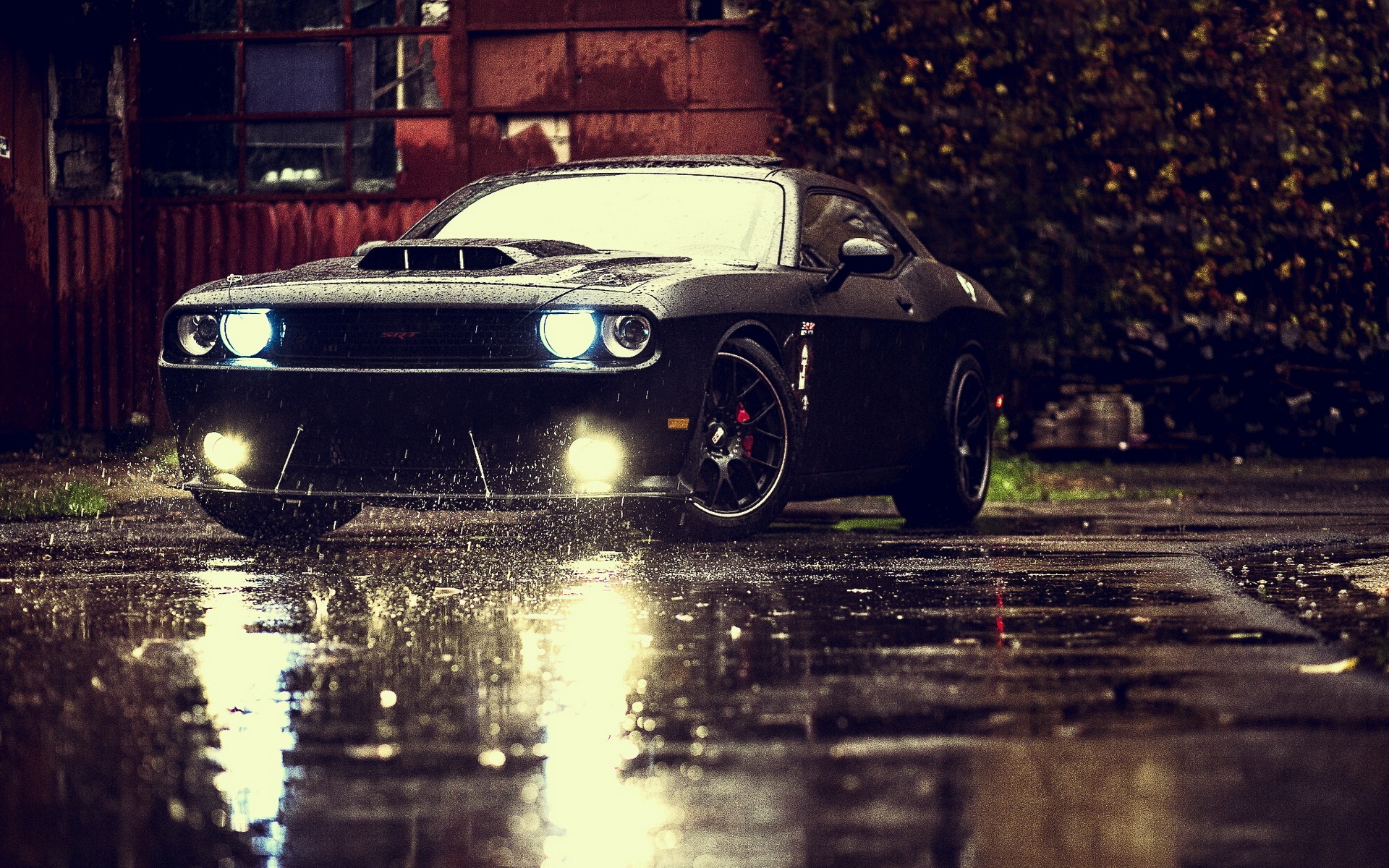 Wallpaper with brutal Dodge Challenger in rainy weather
