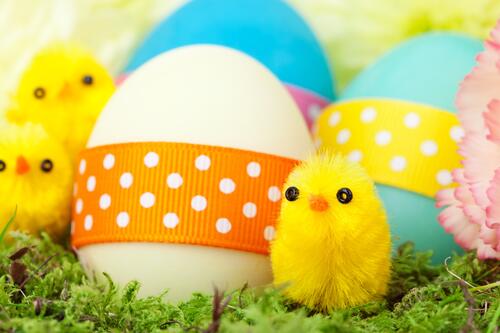 Toy chickens next to Easter eggs