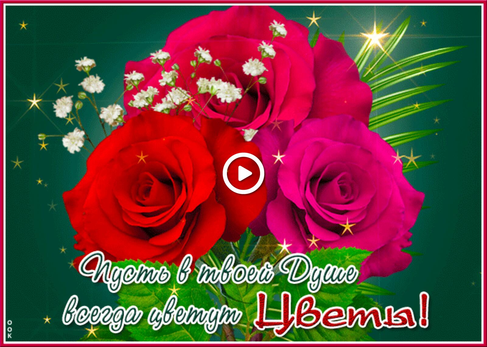 A postcard on the subject of mogen in deiner seele immer blumen bluhen holidays roses for free