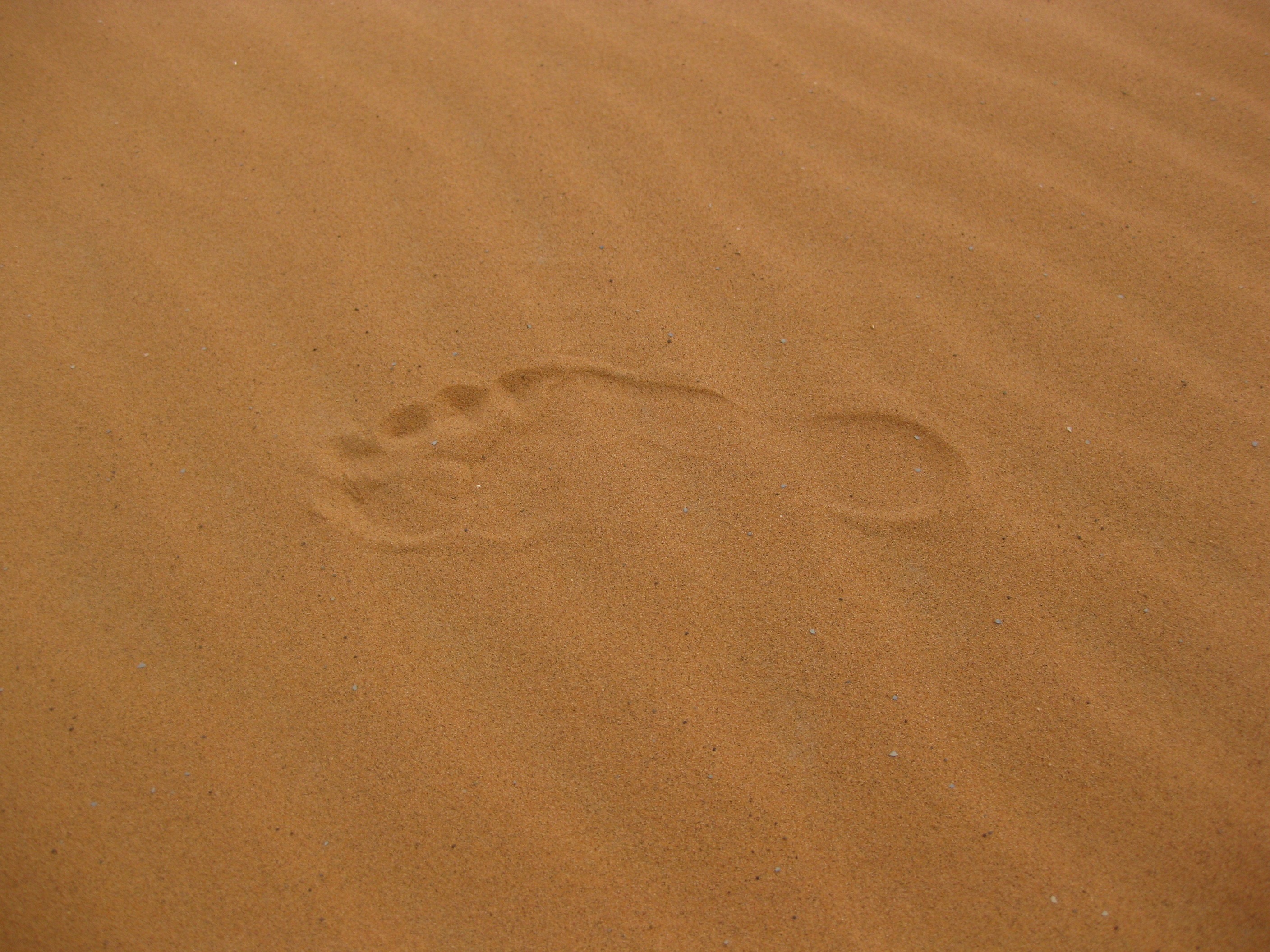 沙中的脚印