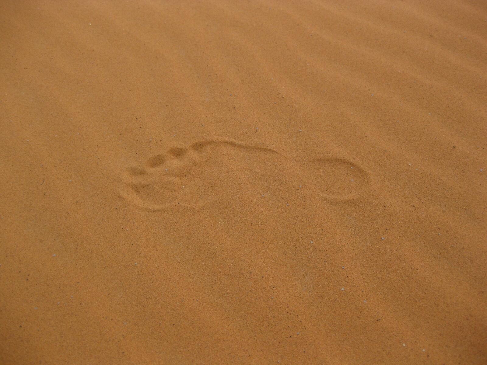 Free photo Footprints in the sand