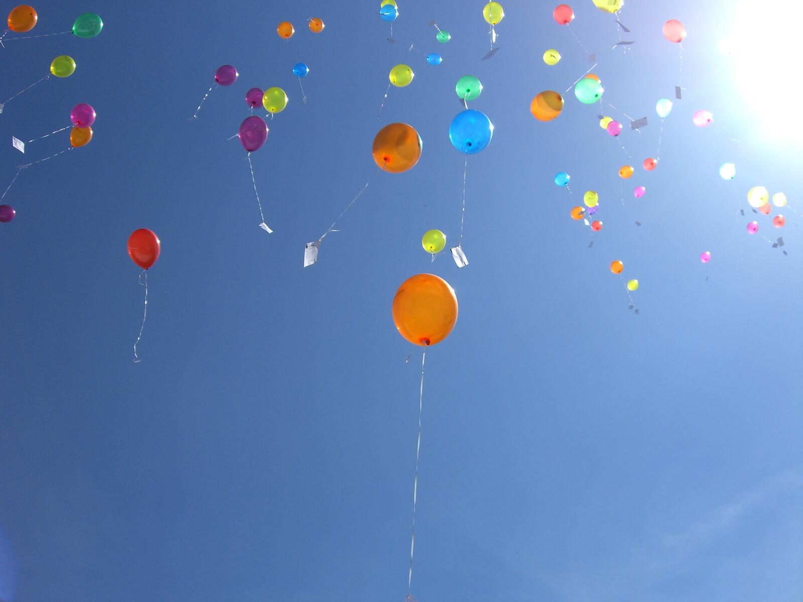 Free photo Helium balloons fly up to the sky
