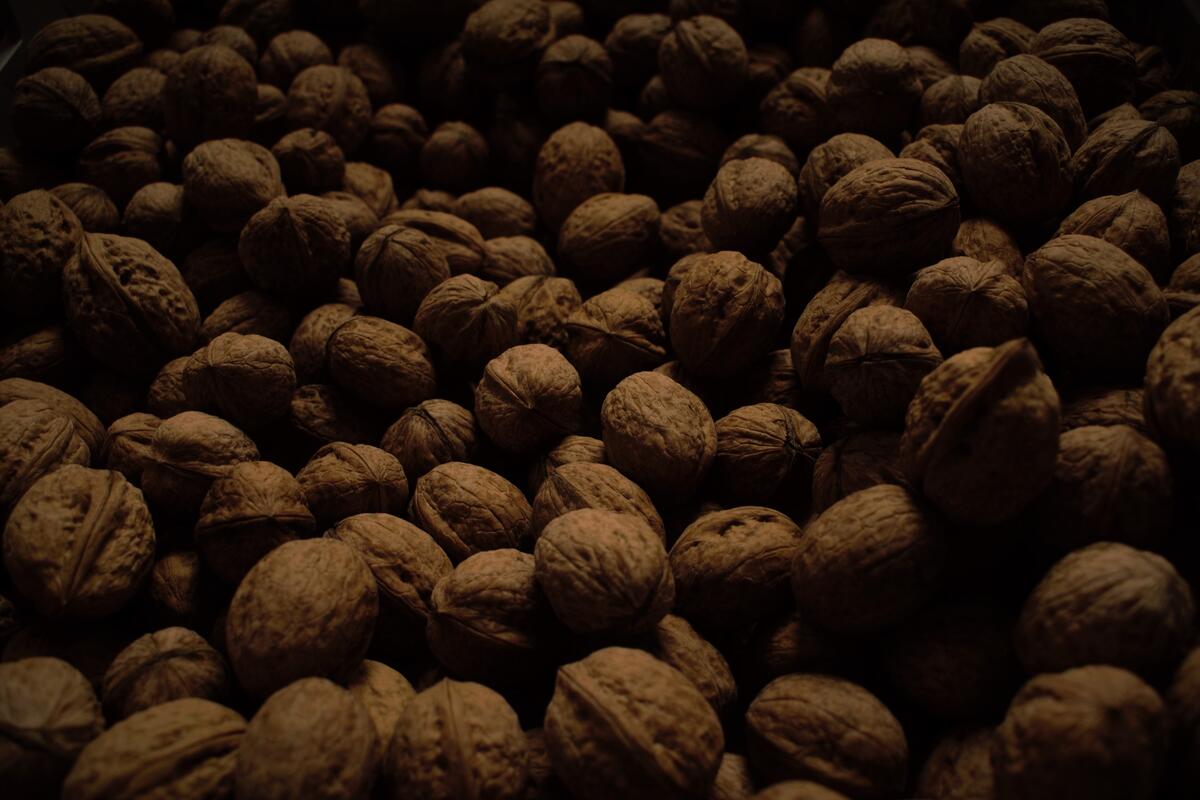 A big pile of walnuts