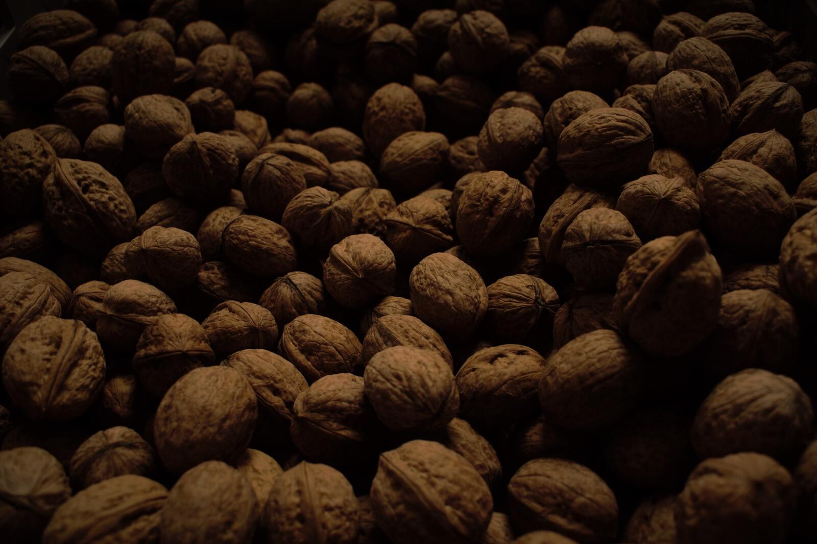 Free photo A big pile of walnuts