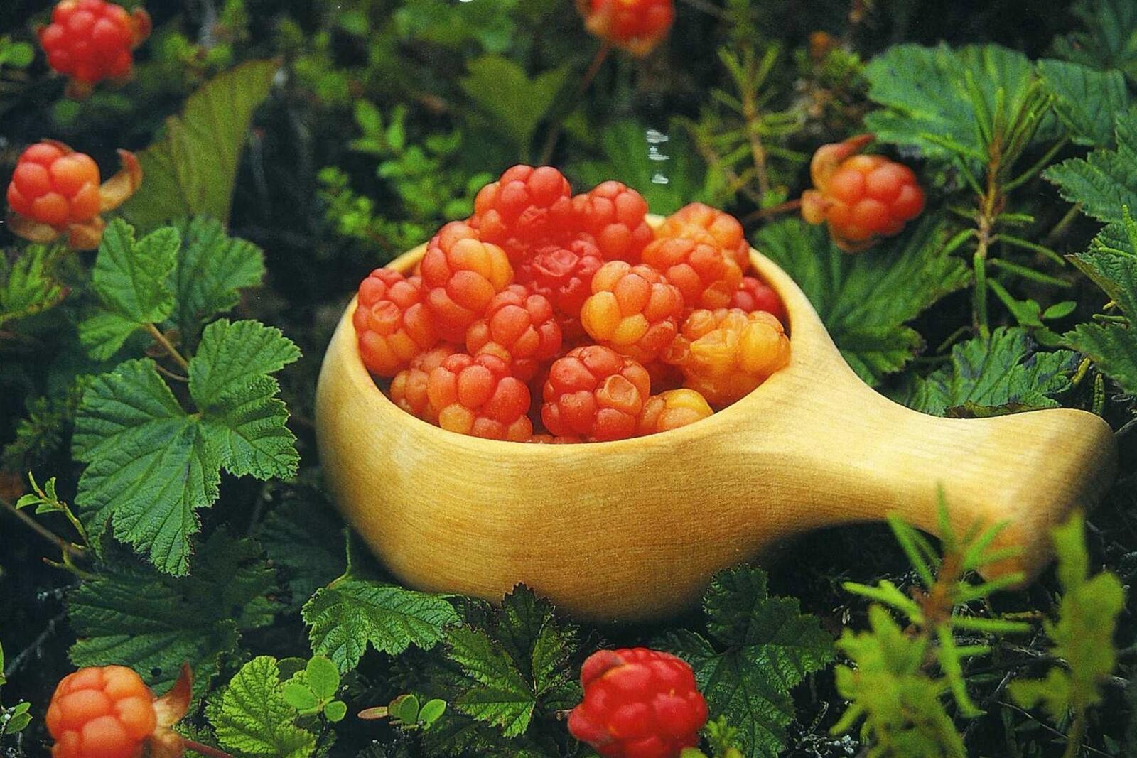 Free photo Delicious berries in a wooden bowl