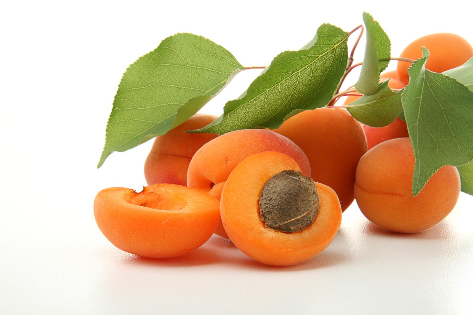 Free photo Delicious apricots on a white background