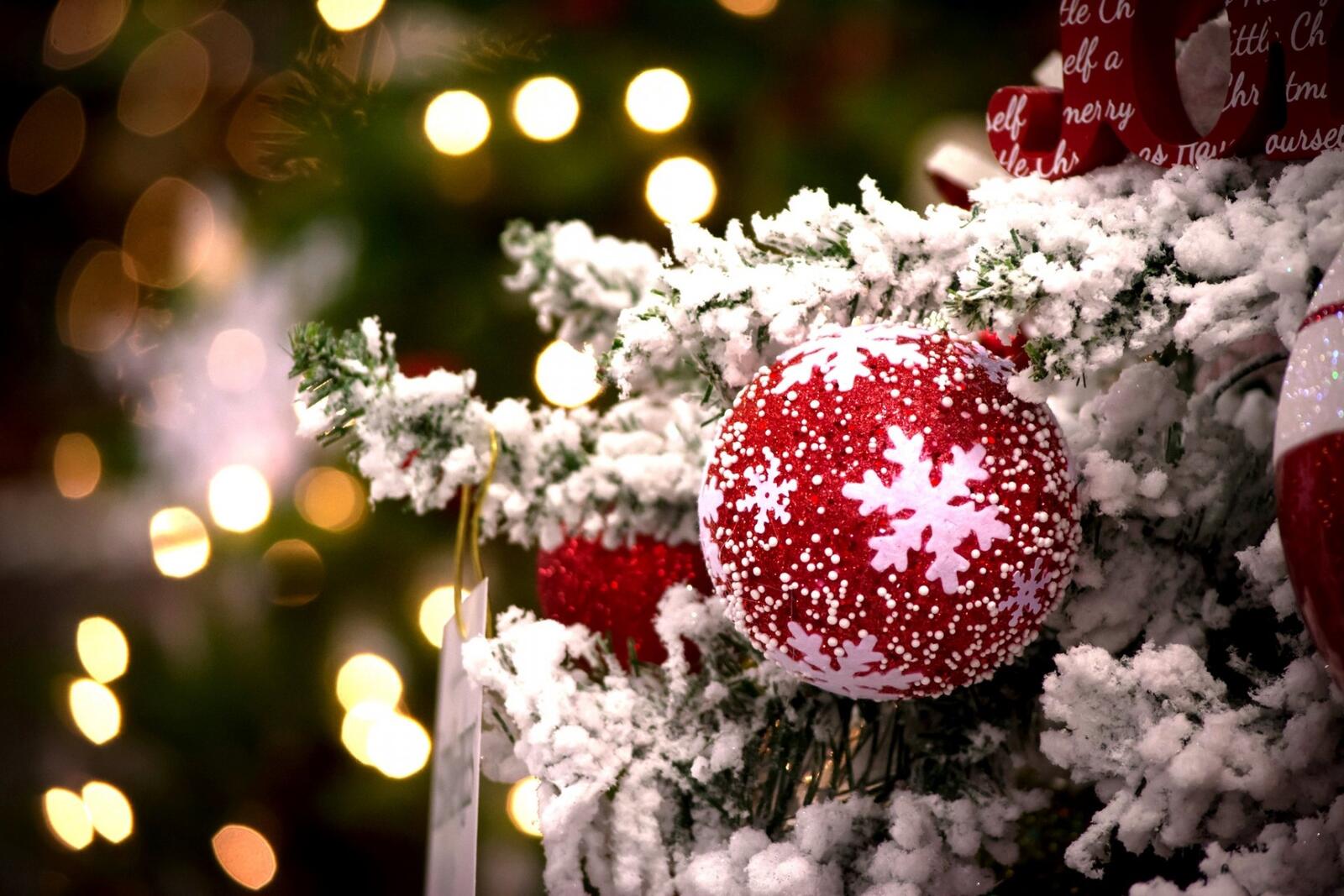 Бесплатное фото Красный шарик на новогодней елке