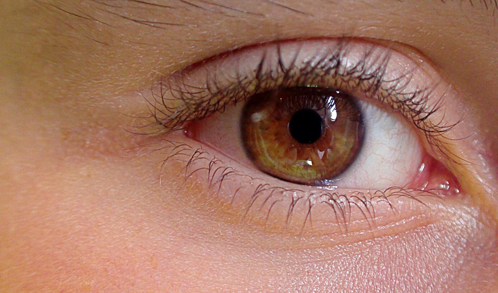 Человеческий глаз коричневого цвета крупным планом