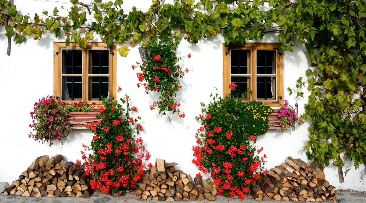 The facade of the house decorated with flowers