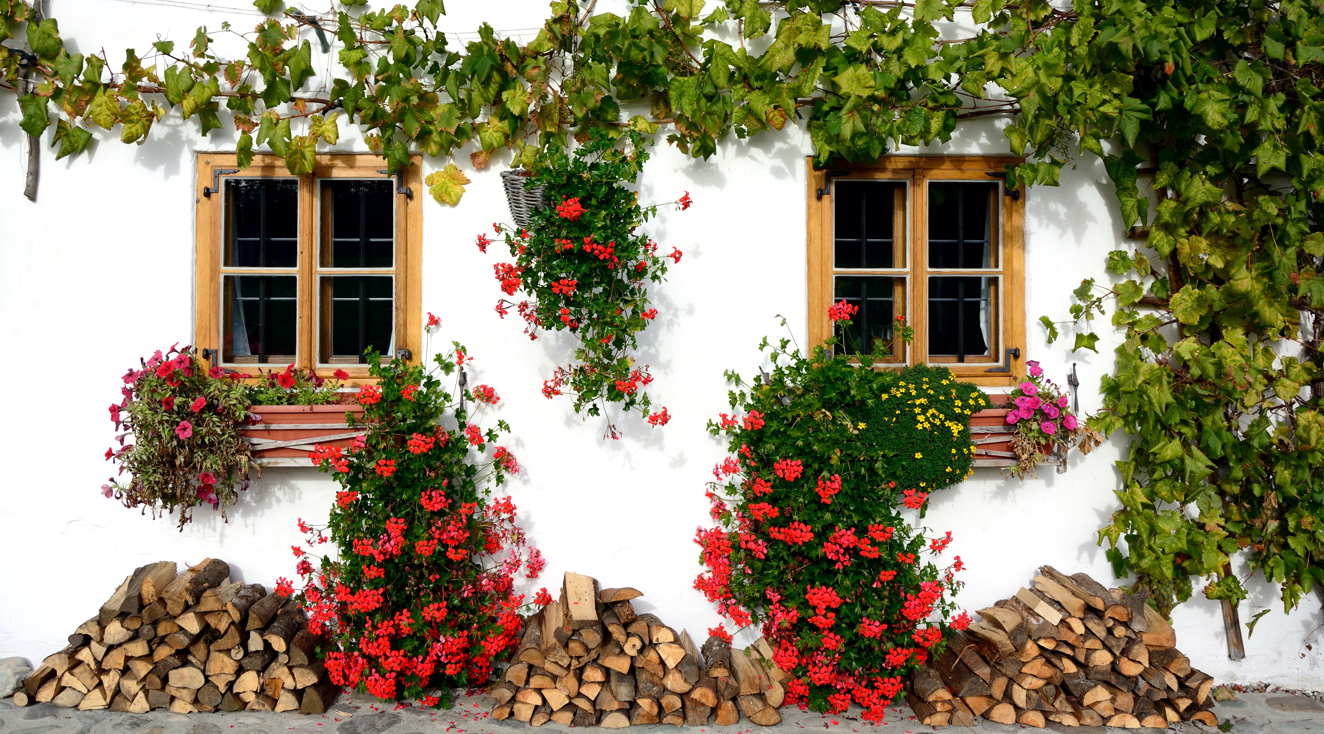 Free photo The facade of the house decorated with flowers