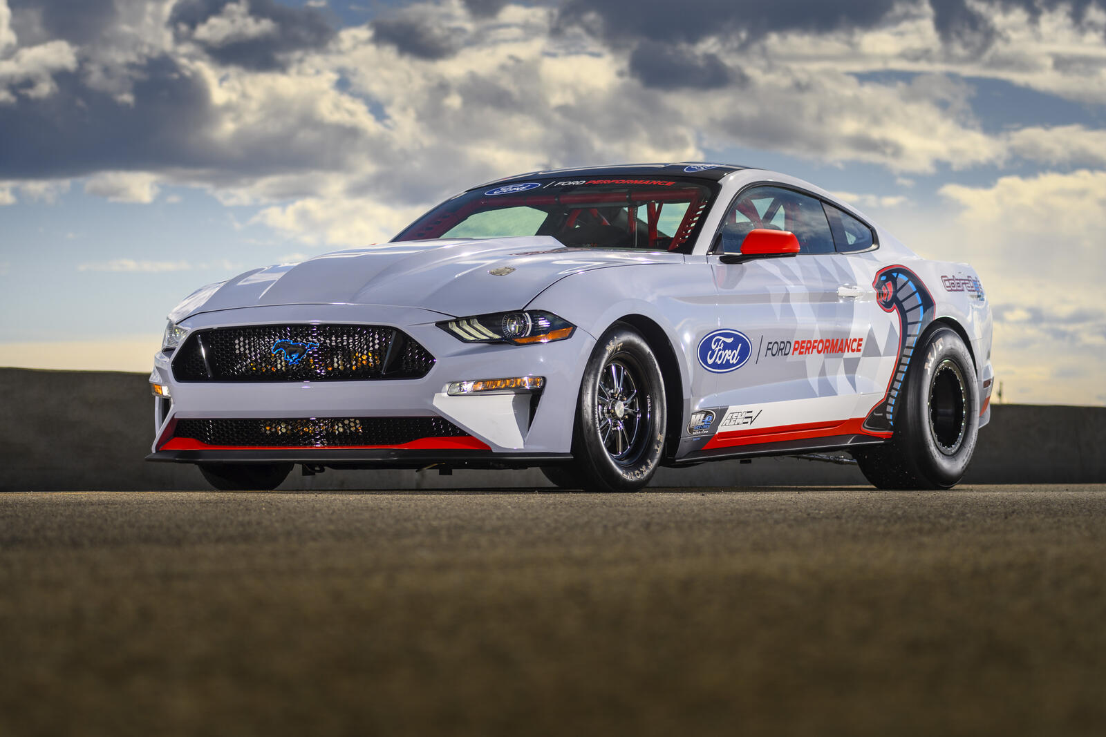 Wallpapers Ford Mustang gray cars on the desktop