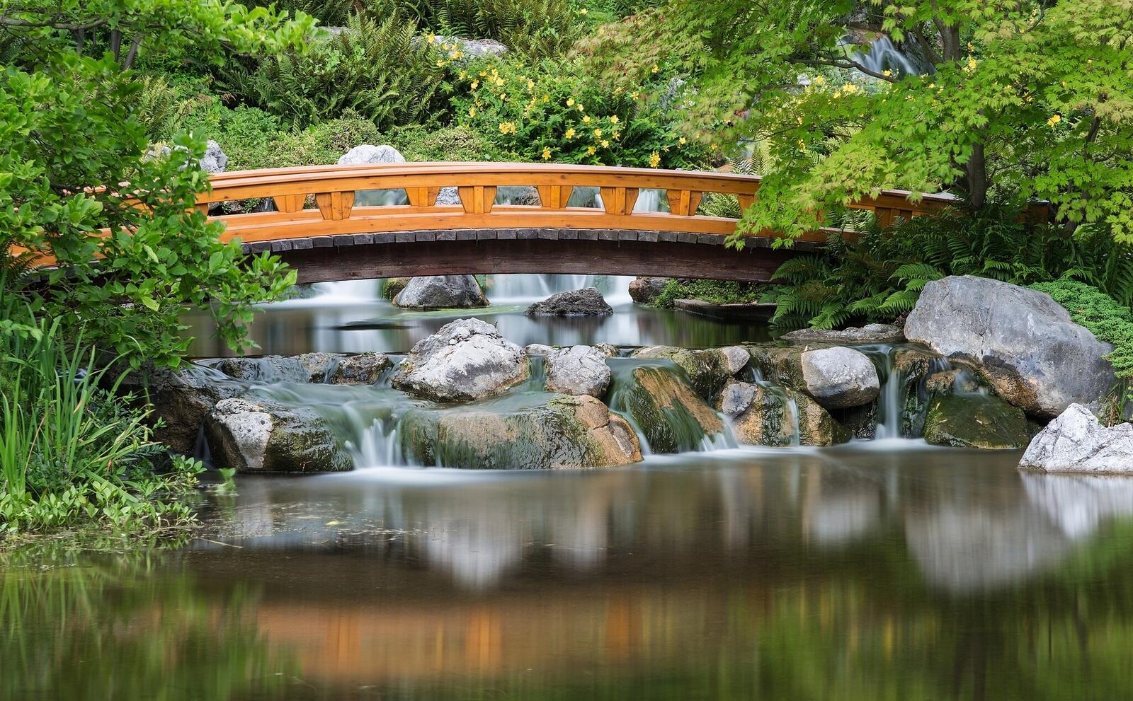Бесплатное фото Красивый мост через ручей в японском саду