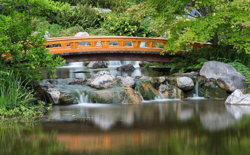 A beautiful bridge over a stream in a Japanese garden