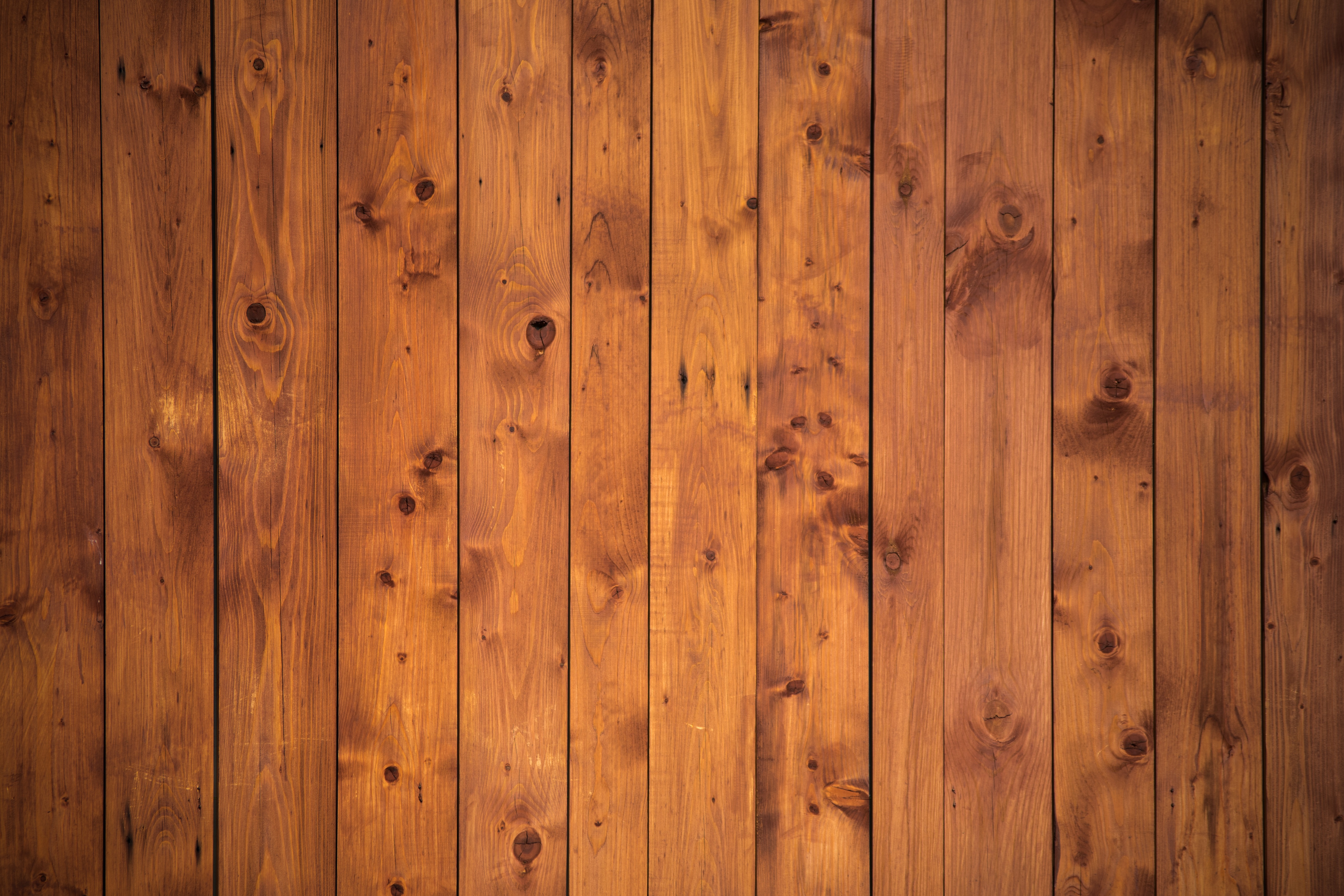 Free photo A picture of the texture of wood planks