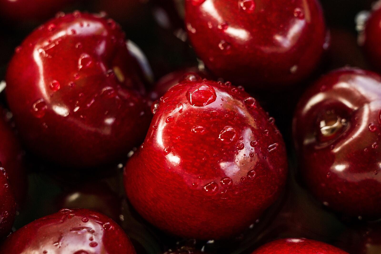 Free photo Washed red cherries