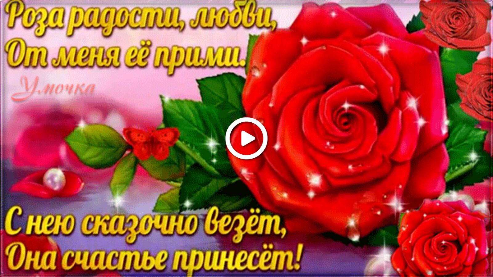 一张以玫瑰 为一个女人 鲜花为主题的明信片
