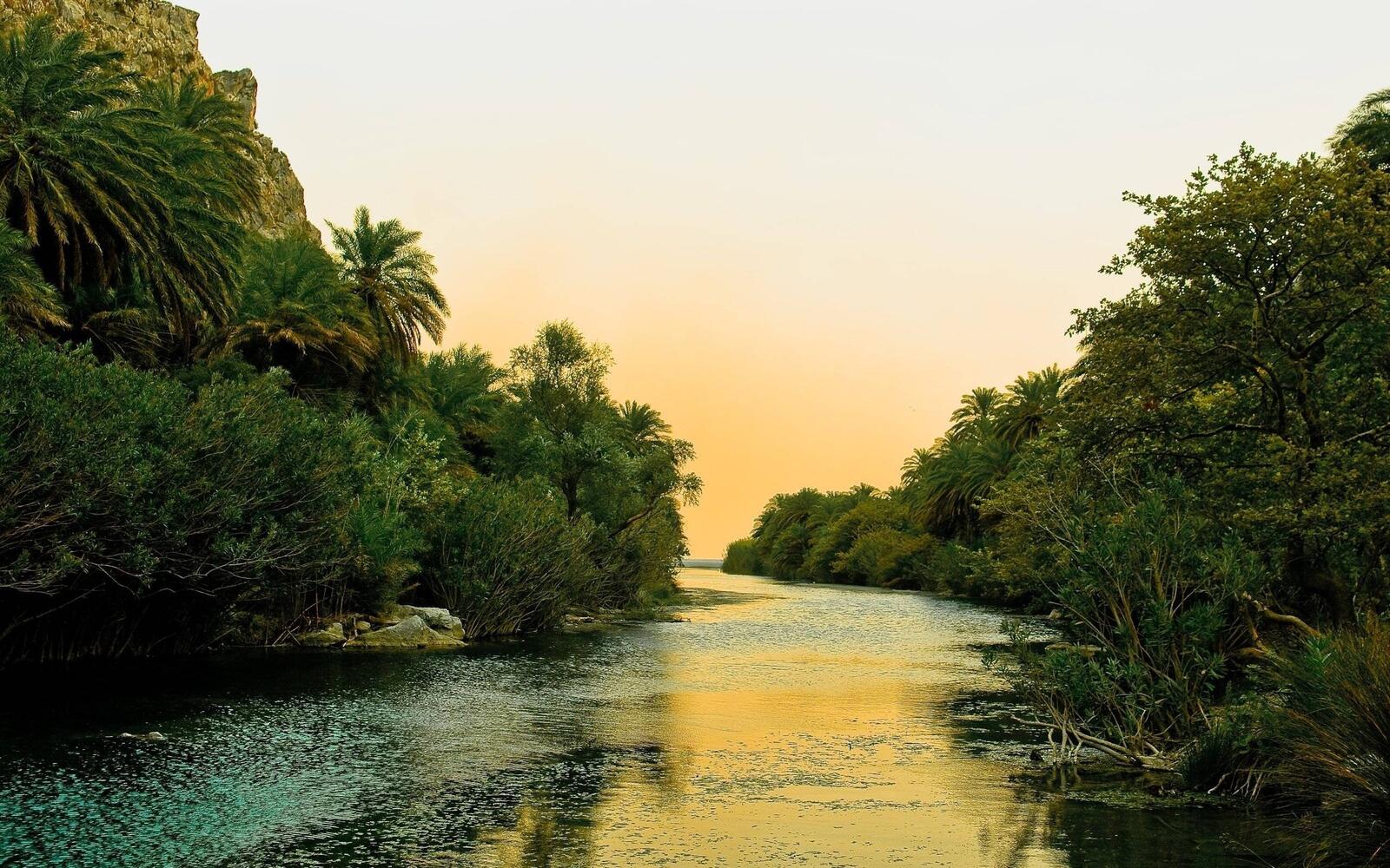Бесплатное фото Река в джунглях
