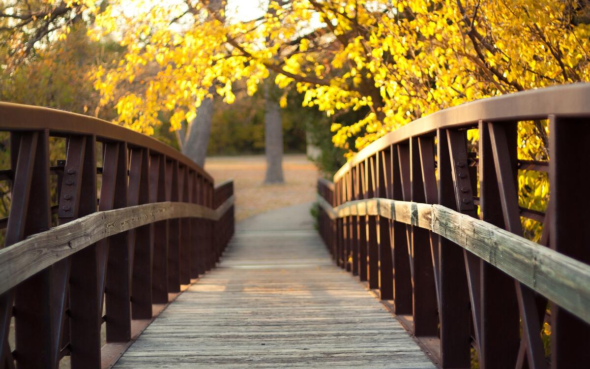 Деревянный мост в осеннем лесу солнечным днем