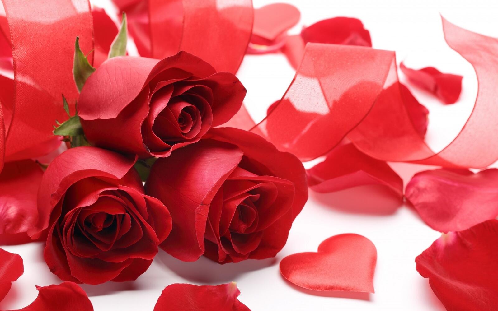 Бесплатное фото Три красные розы с лепестками в виде сердечка