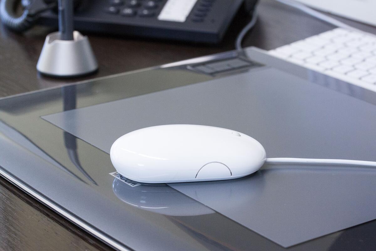 This is what Apple`s white mouse looks like