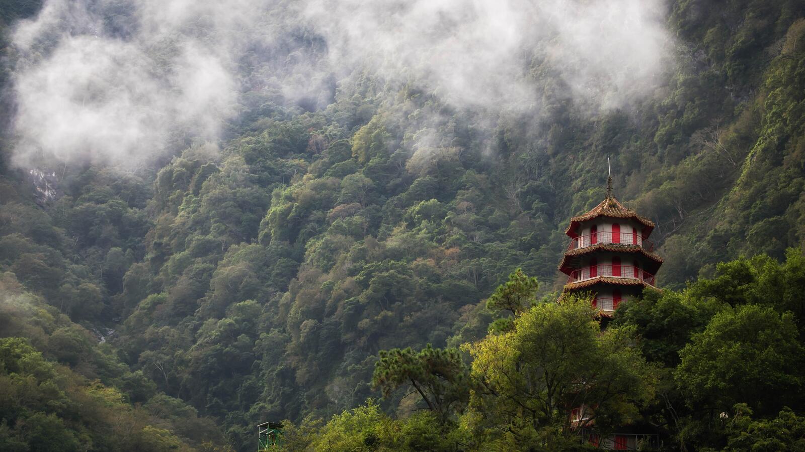 Бесплатное фото Заповедник в Тайване в лесной местности