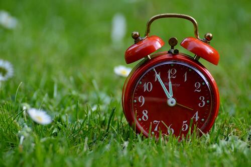 A red alarm clock on green grass